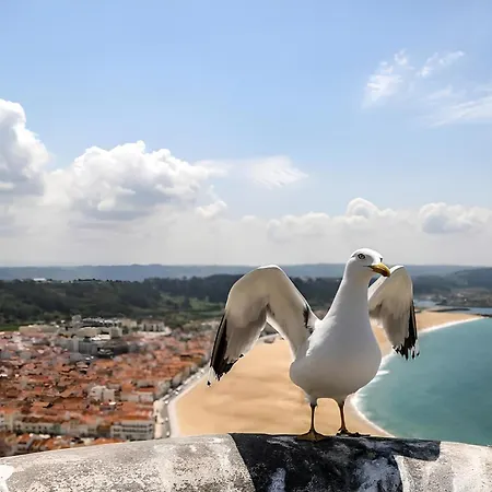 Ricky House Big Waves Apartamento *