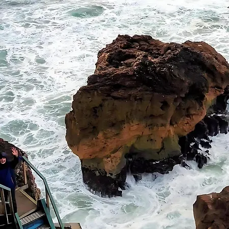 Ricky House Big Waves Nazaré